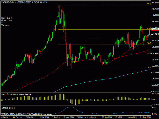 Click to Enlarge

Name: silver_fibs.gif
Size: 18 KB