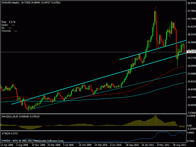 Click to Enlarge

Name: silver1w.gif
Size: 17 KB