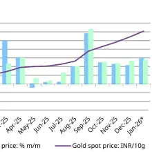 India gold market update: Enduring demand strength | Metals Mine